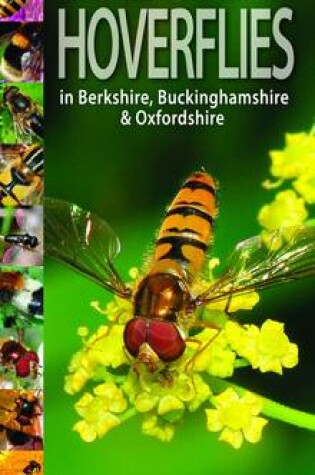 Cover of A Guide to Finding Hoverflies in Berkshire, Buckinghamshire and Oxfordshire
