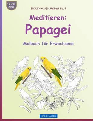 Book cover for BROCKHAUSEN Malbuch Bd. 4 - Meditieren