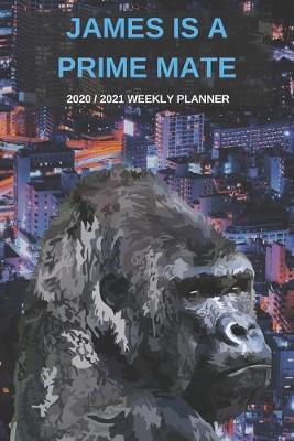 Book cover for 2020 / 2021 Two Year Weekly Planner For James Name - Funny Gorilla Pun Appointment Book Gift - Two-Year Agenda Notebook