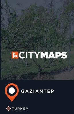 Book cover for City Maps Gaziantep Turkey