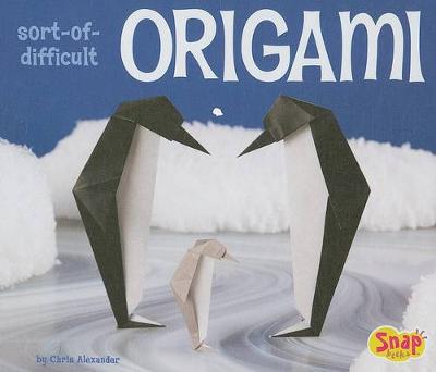 Cover of Sort-Of-Difficult Origami