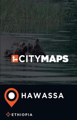 Book cover for City Maps Hawassa Ethiopia