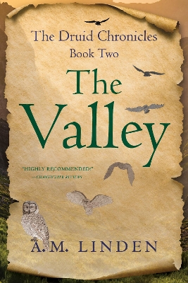 Book cover for The Valley