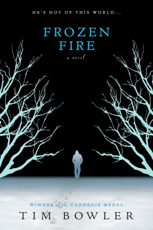 Cover of Frozen Fire