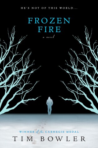 Book cover for Frozen Fire