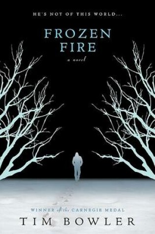 Cover of Frozen Fire