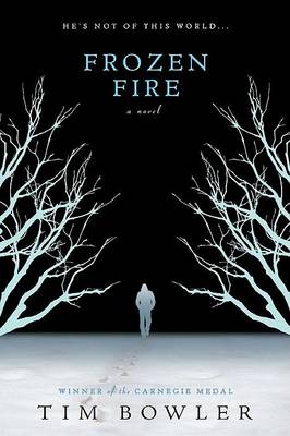 Book cover for Frozen Fire