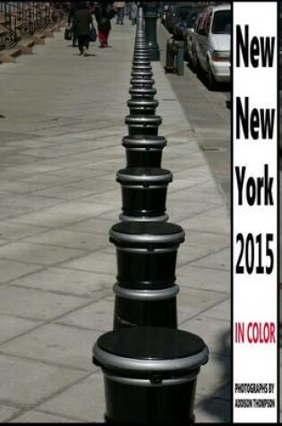 Cover of New New York