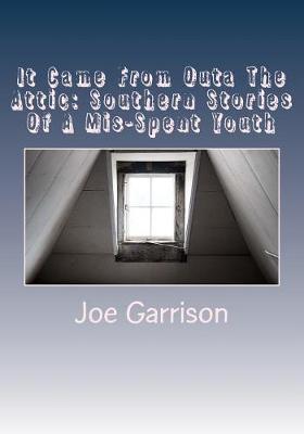 Cover of It Came From Outa The Attic