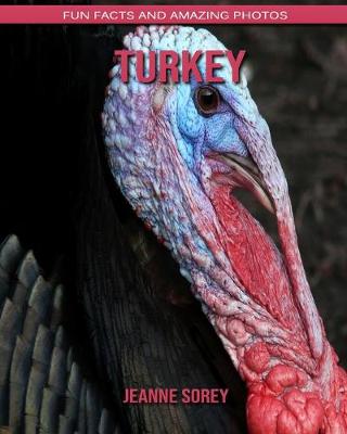 Book cover for Turkey