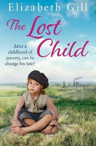 Cover of The Lost Child