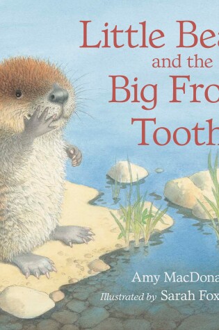 Cover of Little Beaver and the Big Front Tooth