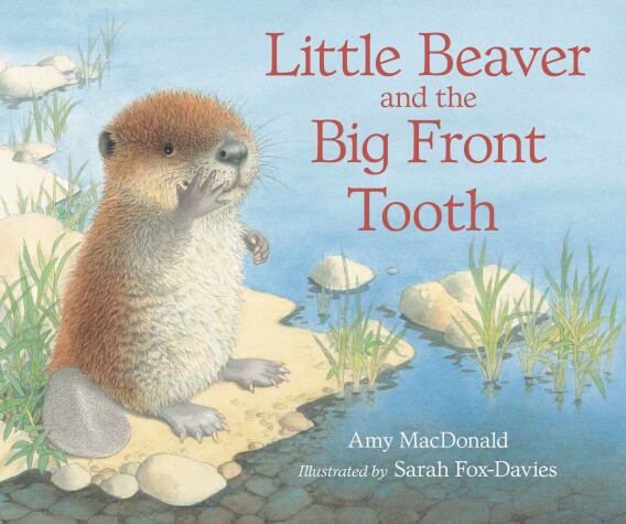 Book cover for Little Beaver and the Big Front Tooth