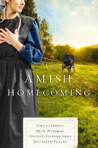 Cover of An Amish Homecoming