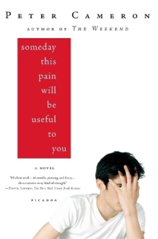 Cover of Someday This Pain Will Be Useful to You