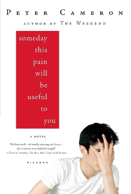 Book cover for Someday This Pain Will Be Useful to You