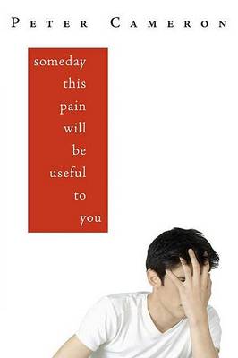 Book cover for Someday This Pain Will Be Useful to You