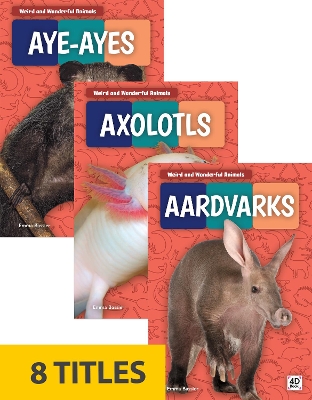 Cover of Weird and Wonderful Animals (Set of 8)