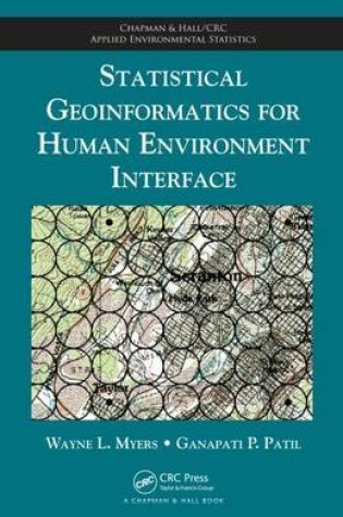 Cover of Statistical Geoinformatics for Human Environment Interface