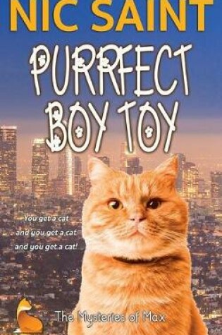 Cover of Purrfect Boy Toy