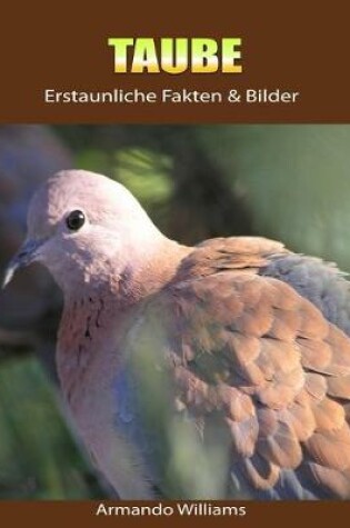 Cover of Taube