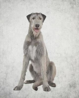 Book cover for Irish Wolfhound