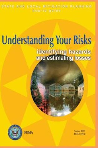Cover of Understanding Your Risks
