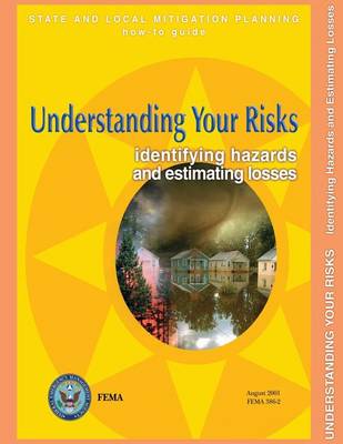 Book cover for Understanding Your Risks
