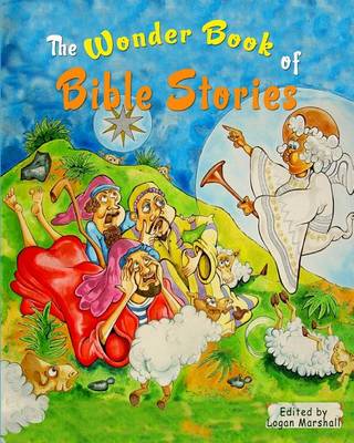 Book cover for The Wonder Book of Bible Stories