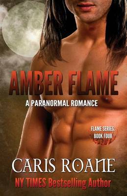 Book cover for Amber Flame