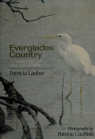 Book cover for Everglades Country