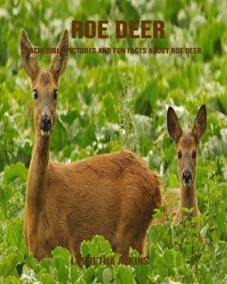 Book cover for Roe Deer