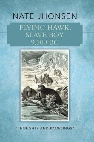 Cover of Flying Hawk, Slave Boy, 9,500 BC