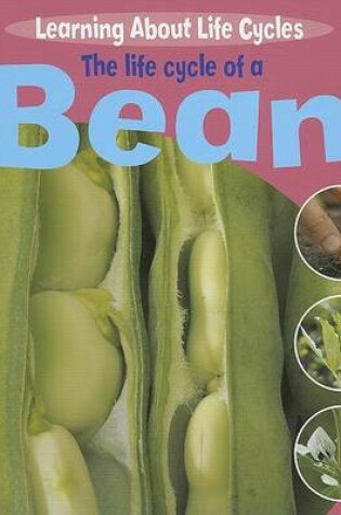 Cover of The Life Cycle of a Bean