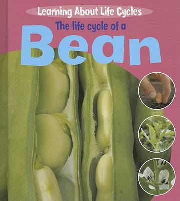 Book cover for The Life Cycle of a Bean