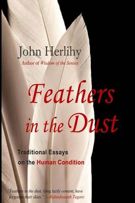 Book cover for Feathers in the Dust