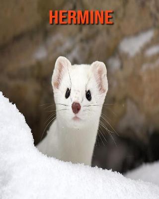 Book cover for Hermine