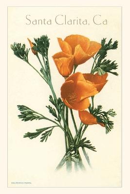 Book cover for The Vintage Journal California Poppy, Santa Clarita