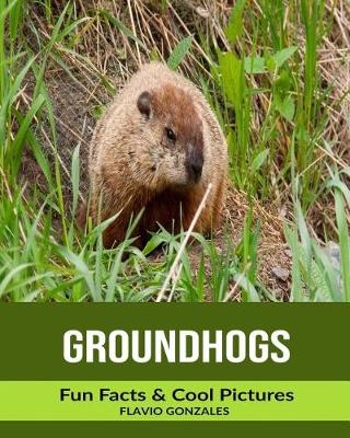 Book cover for Groundhogs