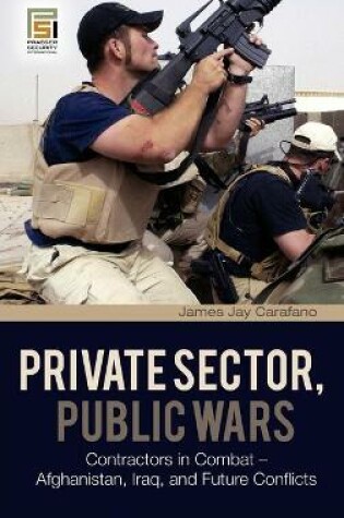 Cover of Private Sector, Public Wars