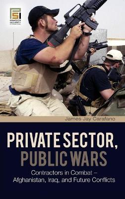 Book cover for Private Sector, Public Wars