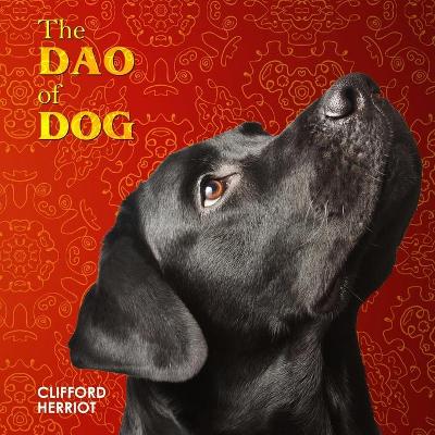 Book cover for The Dao of Dog