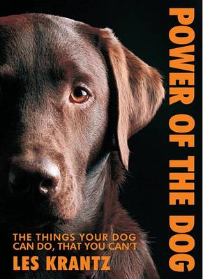 Book cover for Power of the Dog