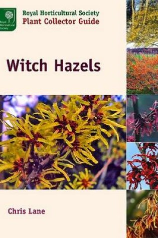 Cover of Witch Hazels