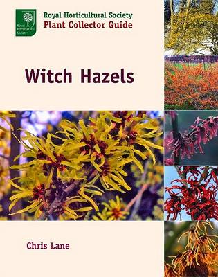 Book cover for Witch Hazels