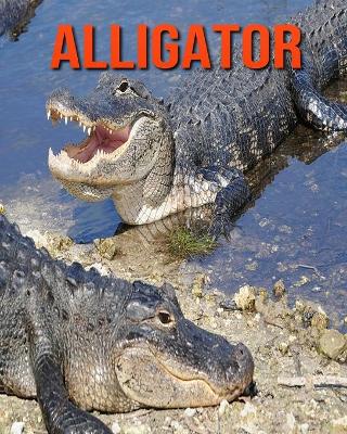 Book cover for Alligator