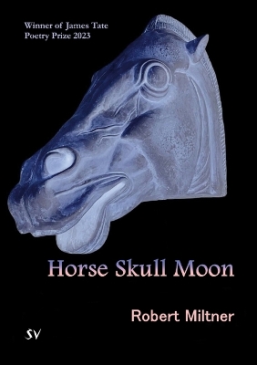 Book cover for Horse Skull Moon