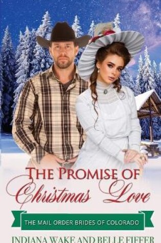 Cover of The Promise of Christmas Love