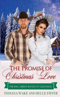 Book cover for The Promise of Christmas Love