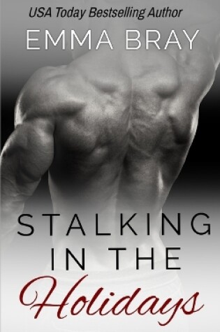 Cover of Stalking in the Holidays